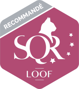logo-sqr-niveau-4
